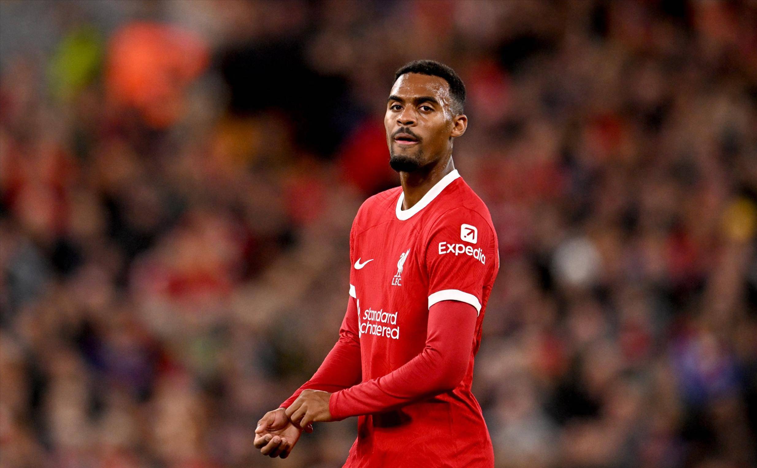 世界杯棒球 世界杯棒球